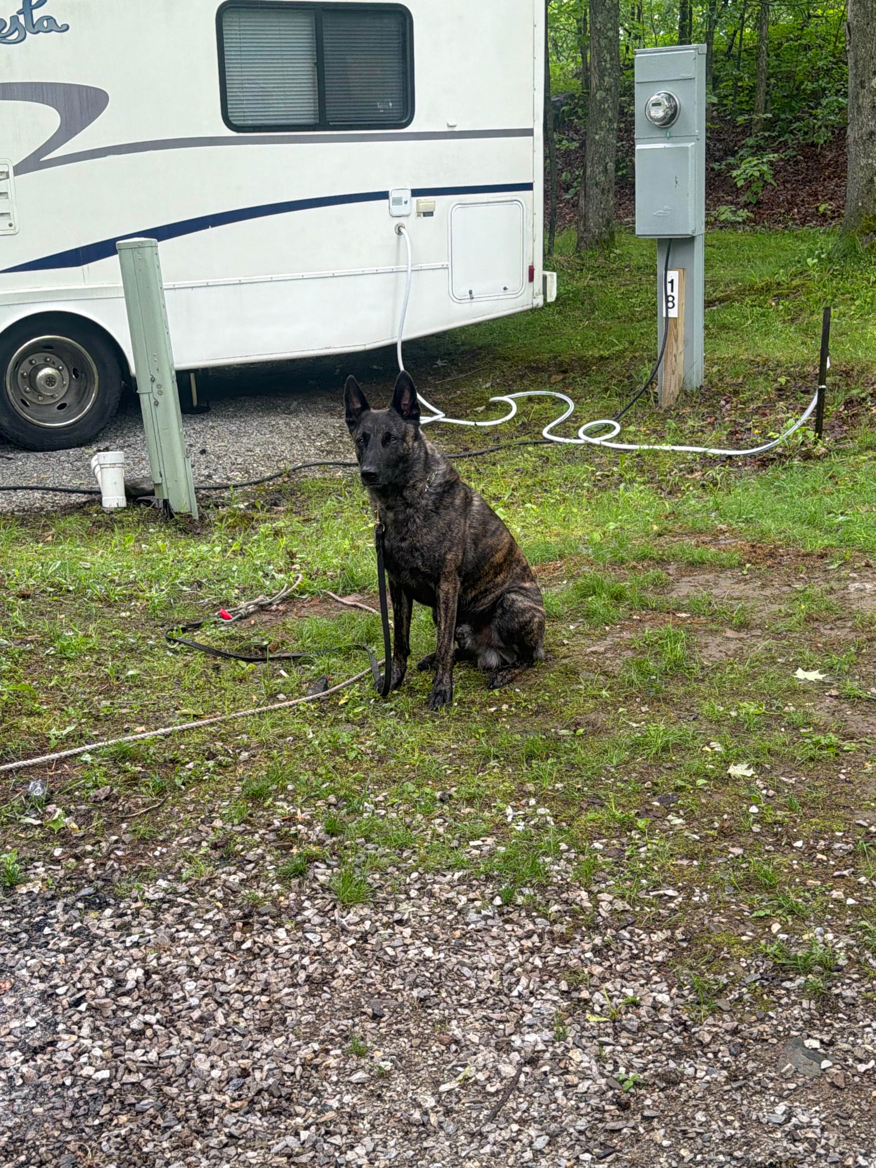David P.'s photo of camping with pets at Maple Grove Campground near Williston, VT