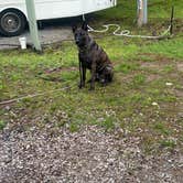 Review photo of Maple Grove Campground by David P., June 12, 2026