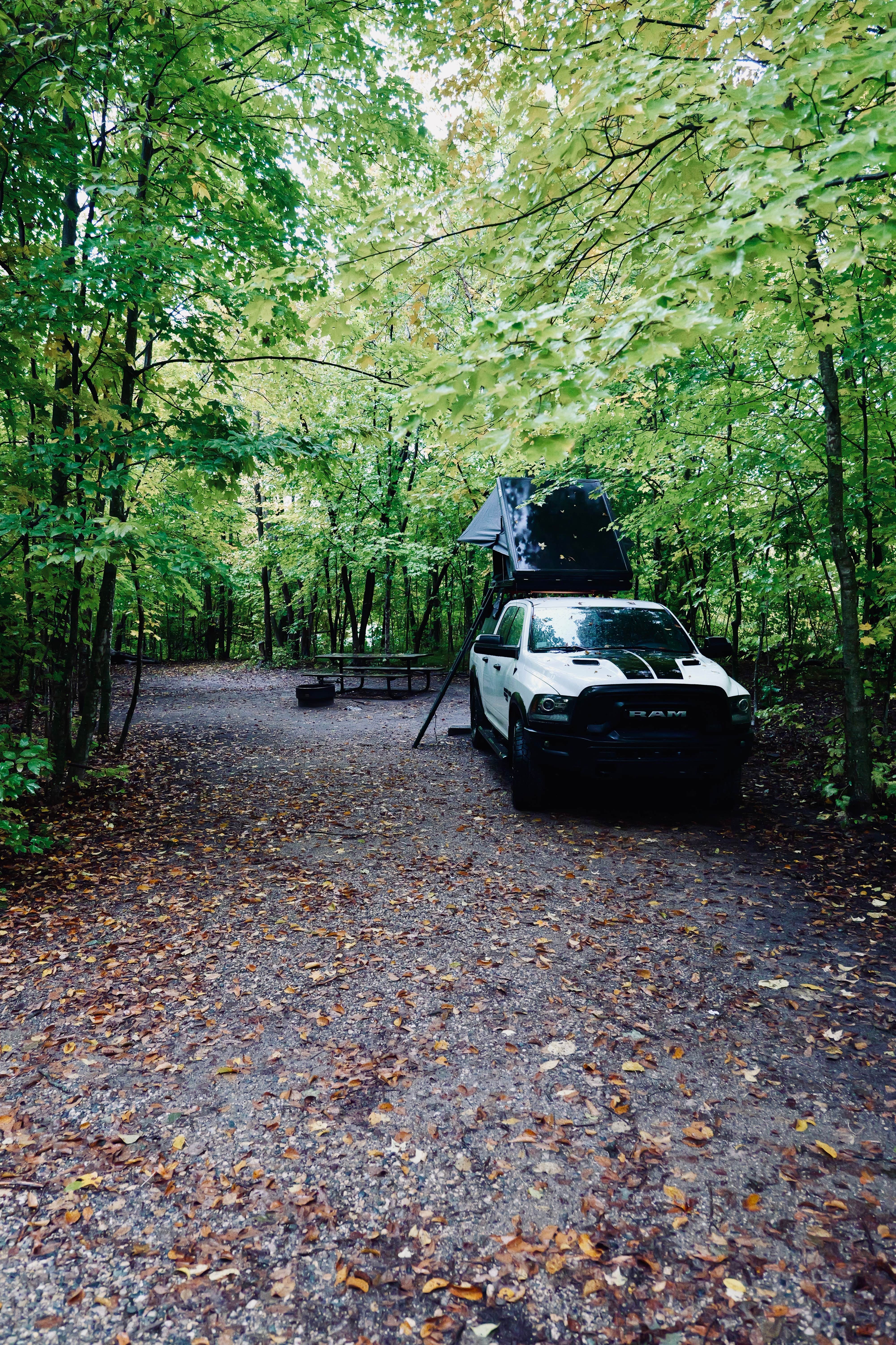 Camper-submitted photo at maplewood state park knoll campground near Detroit Lakes, MN
