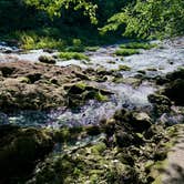 Review photo of Maramec Spring Park by Tori M., June 19, 2026