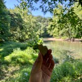 Review photo of Maramec Spring Park by Tori M., June 19, 2026