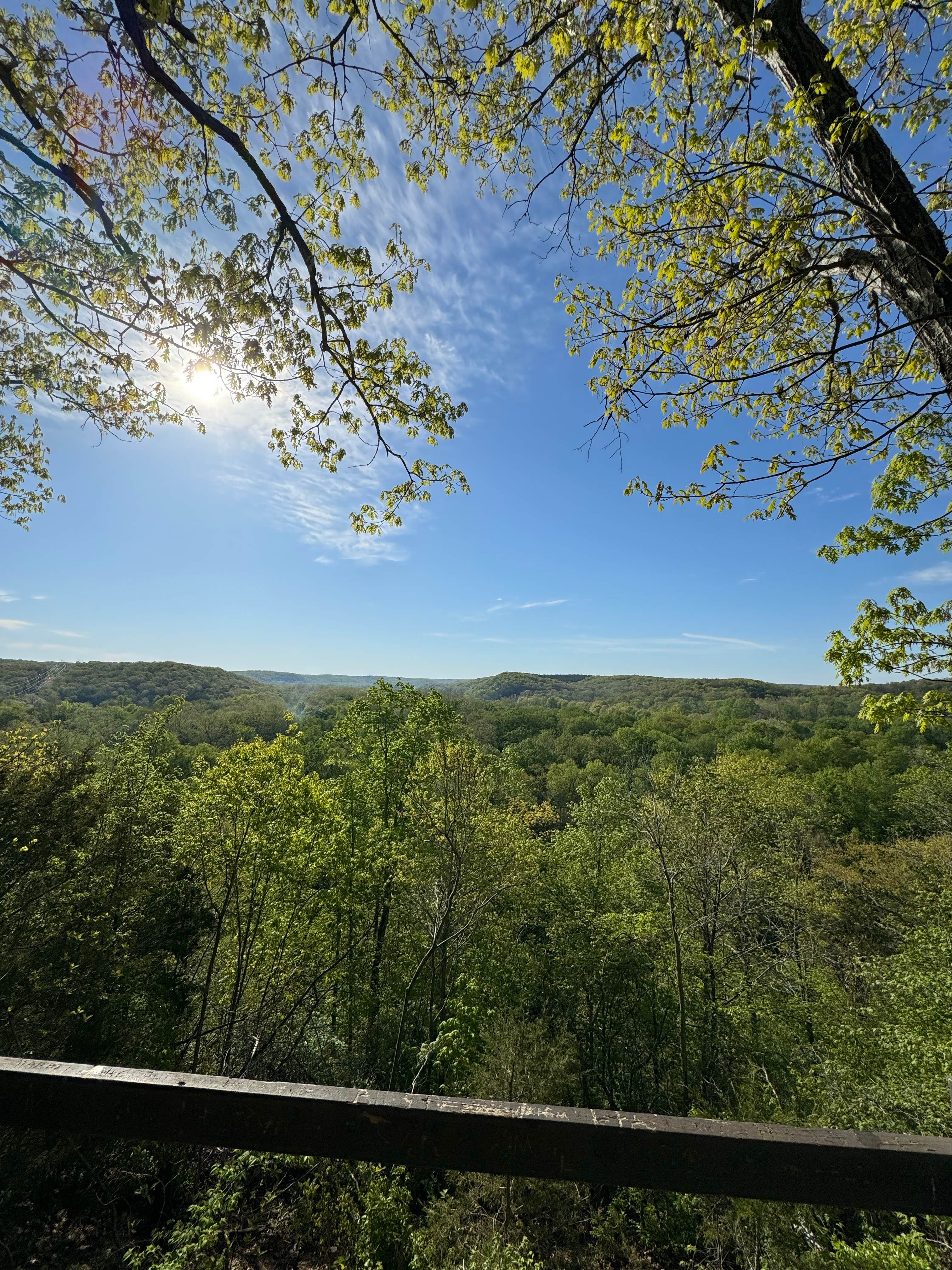 Camper-submitted photo at Maramec Spring Park near Salem, MO