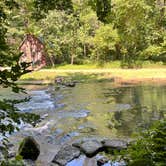Review photo of Maramec Spring Park by Tori M., June 19, 2026
