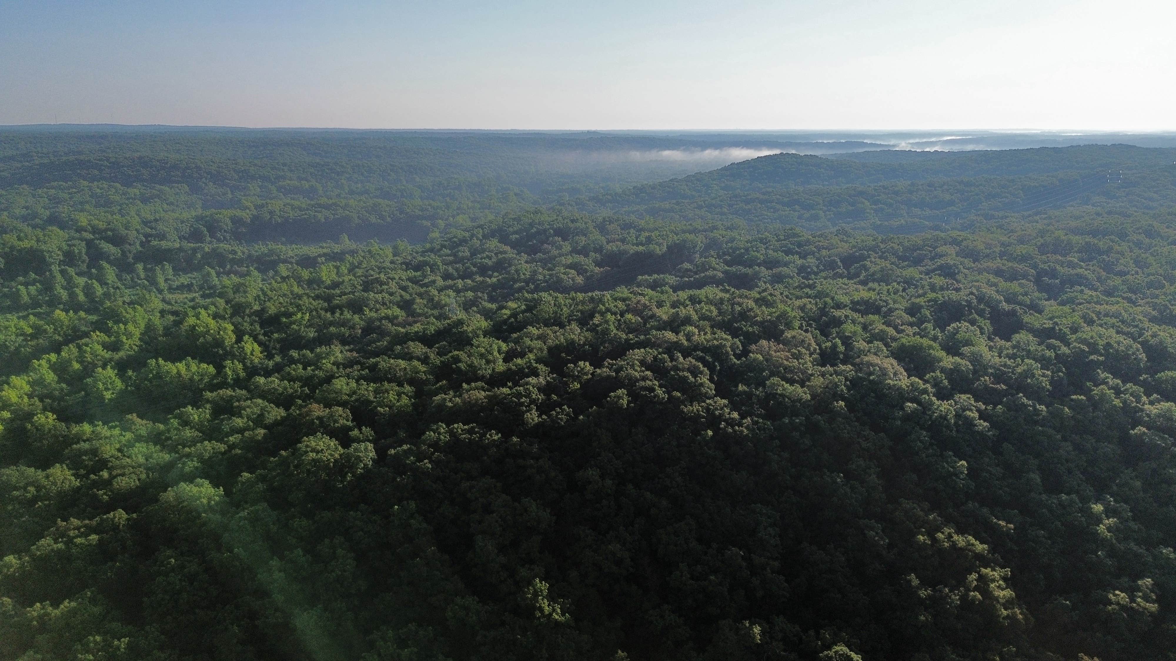 Camper-submitted photo at Maramec Spring Park near Salem, MO