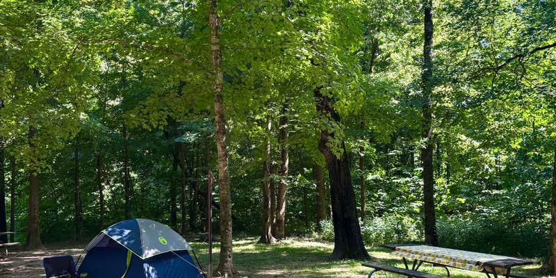 Camper submitted image from Maramec Spring Park