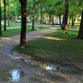 Review photo of Maramec Spring Park by Nick W., July 22, 2024