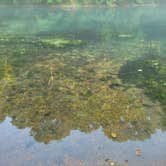 Review photo of Maramec Spring Park by Steff H., July 10, 2026