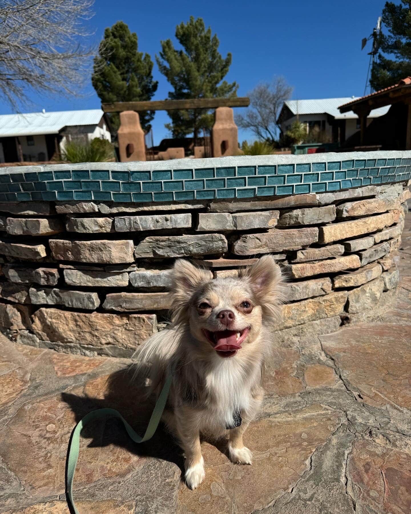 Brodie D.'s photo of camping with pets at Marathon Motel & RV Park near Marfa, TX