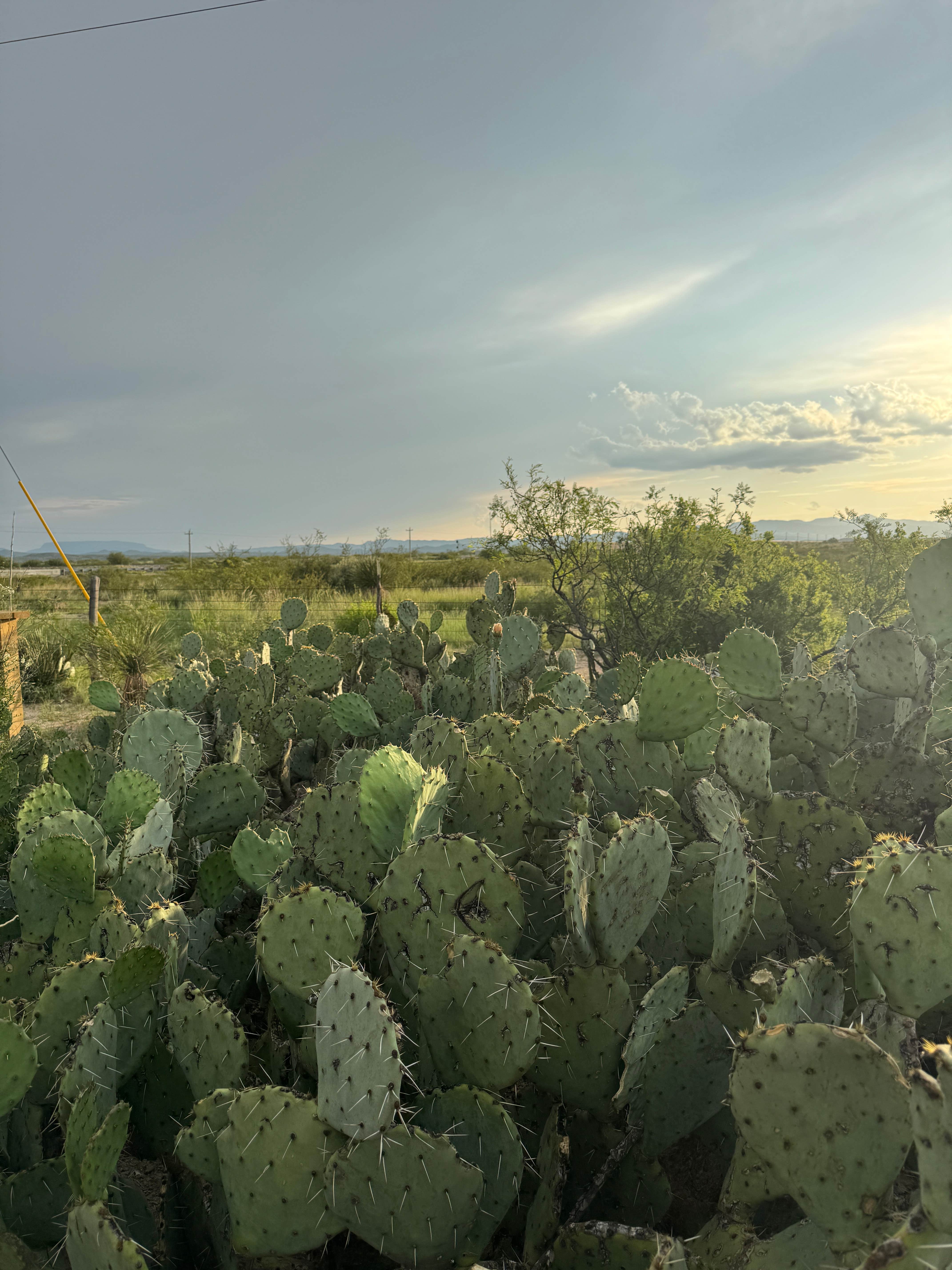 Camper-submitted photo at Marathon Motel & RV Park near Alpine, TX