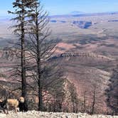 Review photo of Marble View by Elle M., November 10, 2025