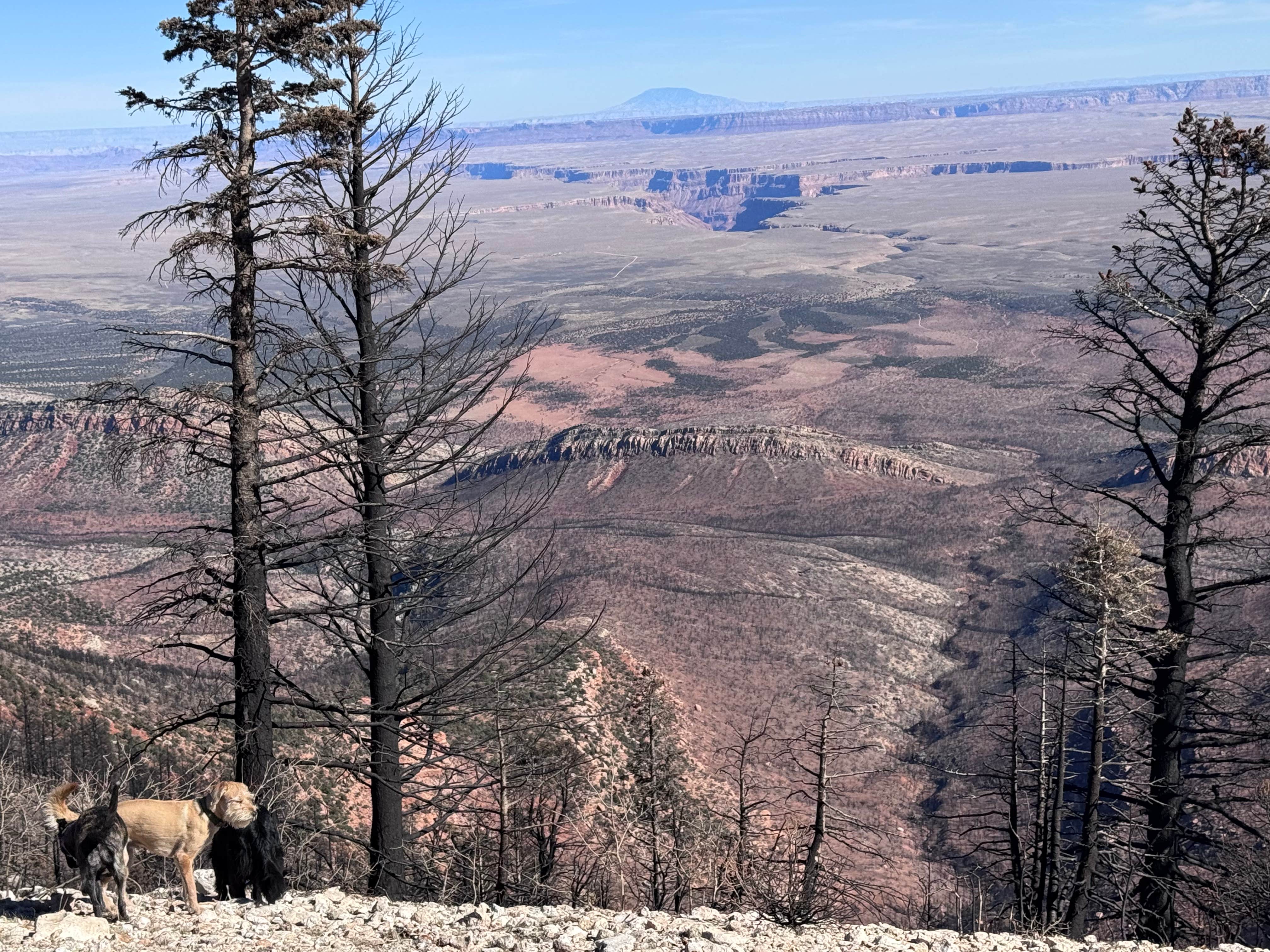 Camper submitted image from Marble View - 2