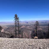 Review photo of Marble View by Elle M., November 10, 2025