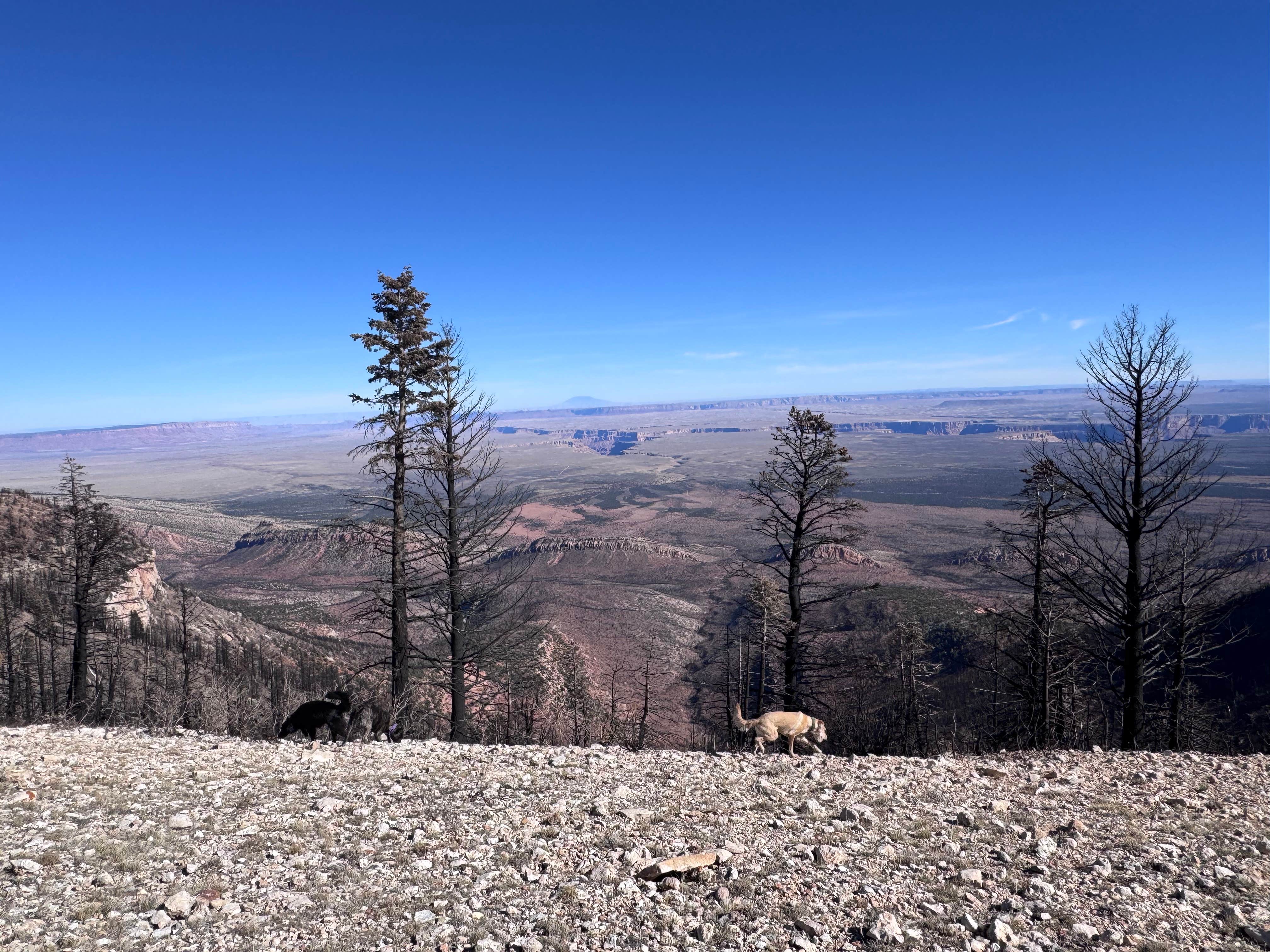 Camper submitted image from Marble View - 3