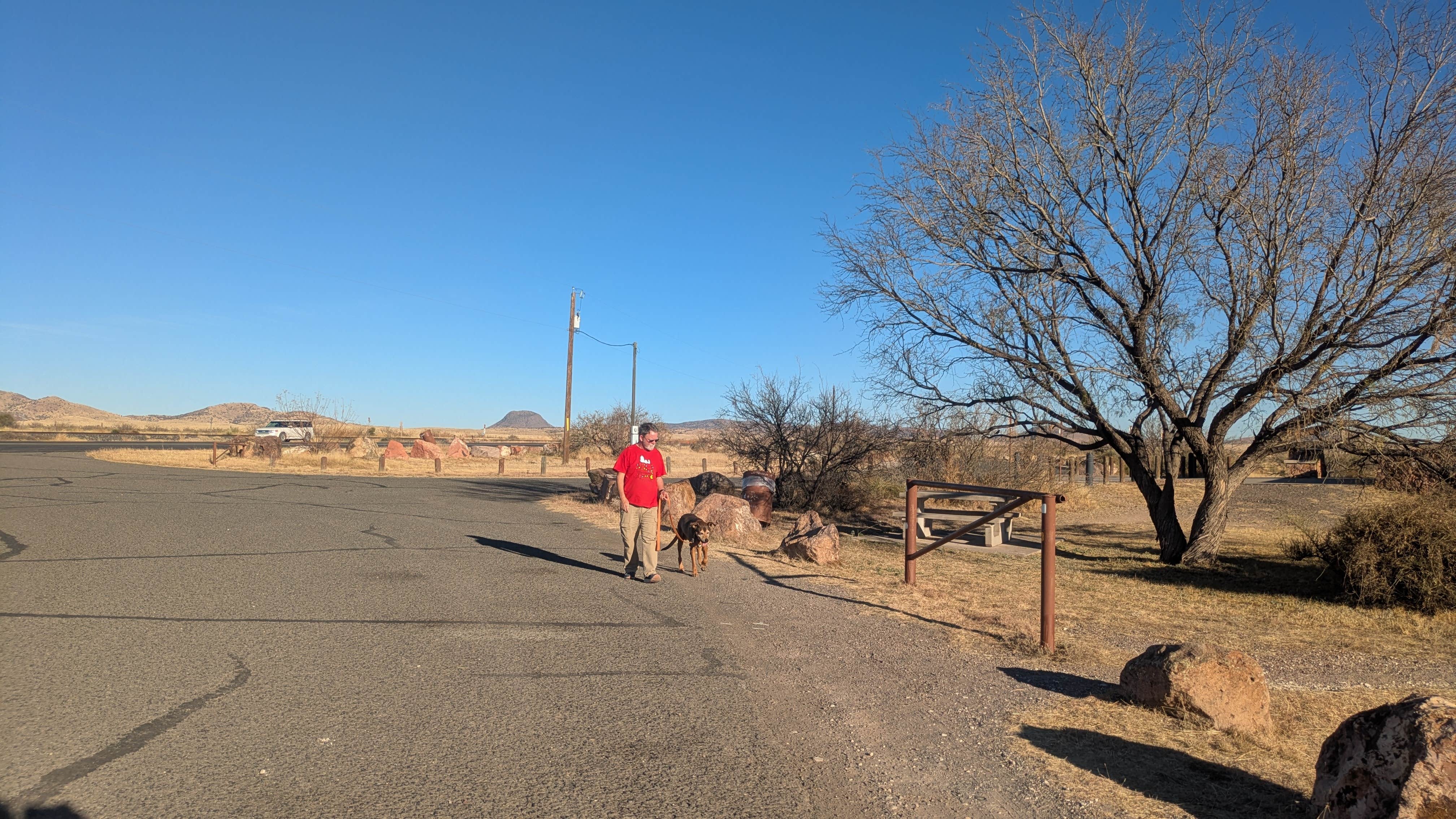 Vidalia S.'s photo of camping with pets at Marfa Lights Viewpoint Rest Area near Alpine, TX