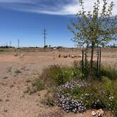Review photo of Marfa Yacht Club by Kimberly W., April 22, 2026