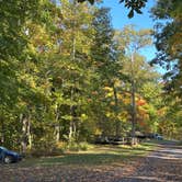 Review photo of Mills Norrie State Park Campground by Will W., October 15, 2026
