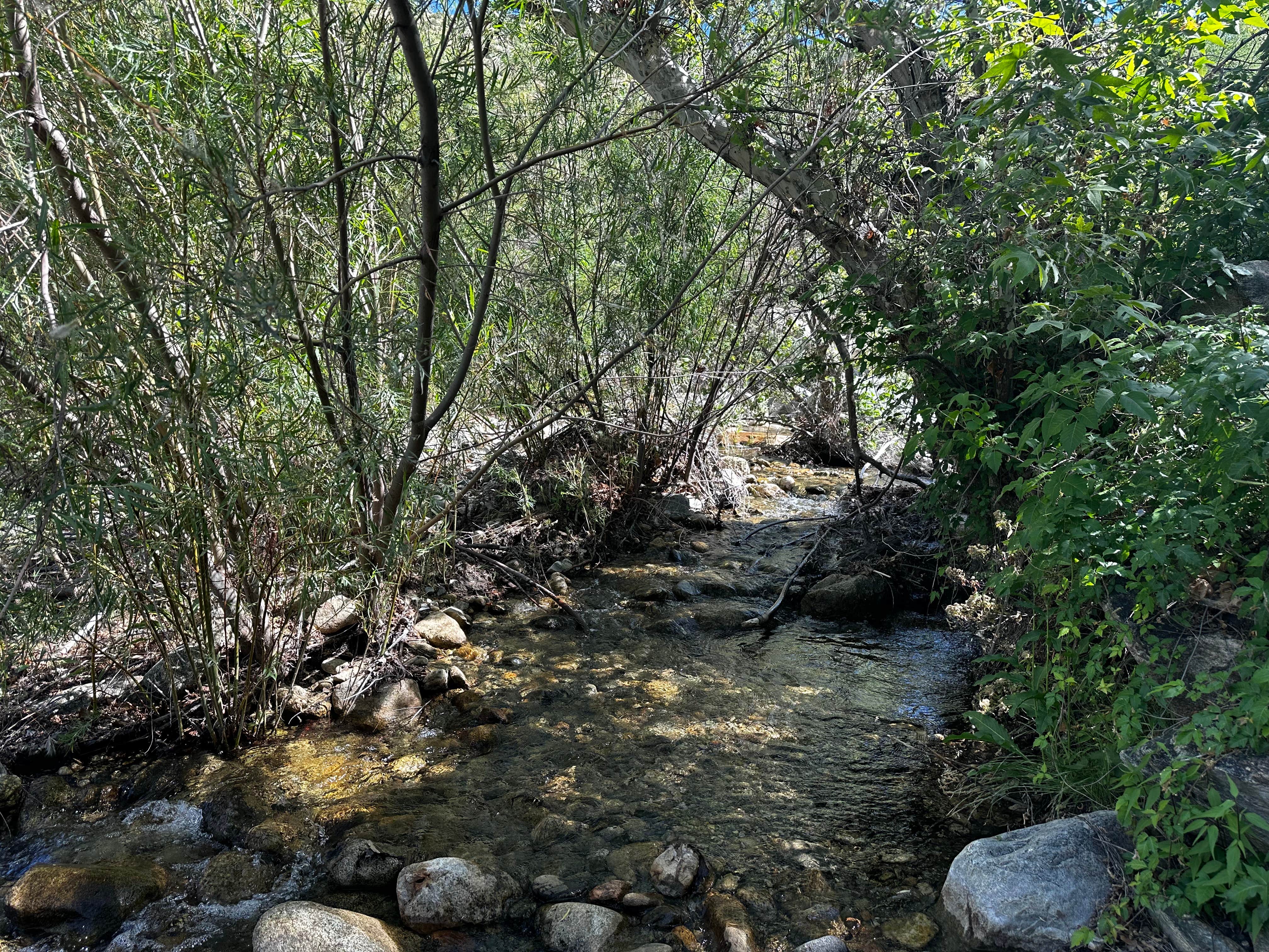 Camping near Jacobson Canyon Overlook: Marijilda, Thatcher, Arizona
