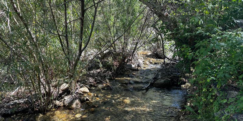 Camper submitted image from Marijilda