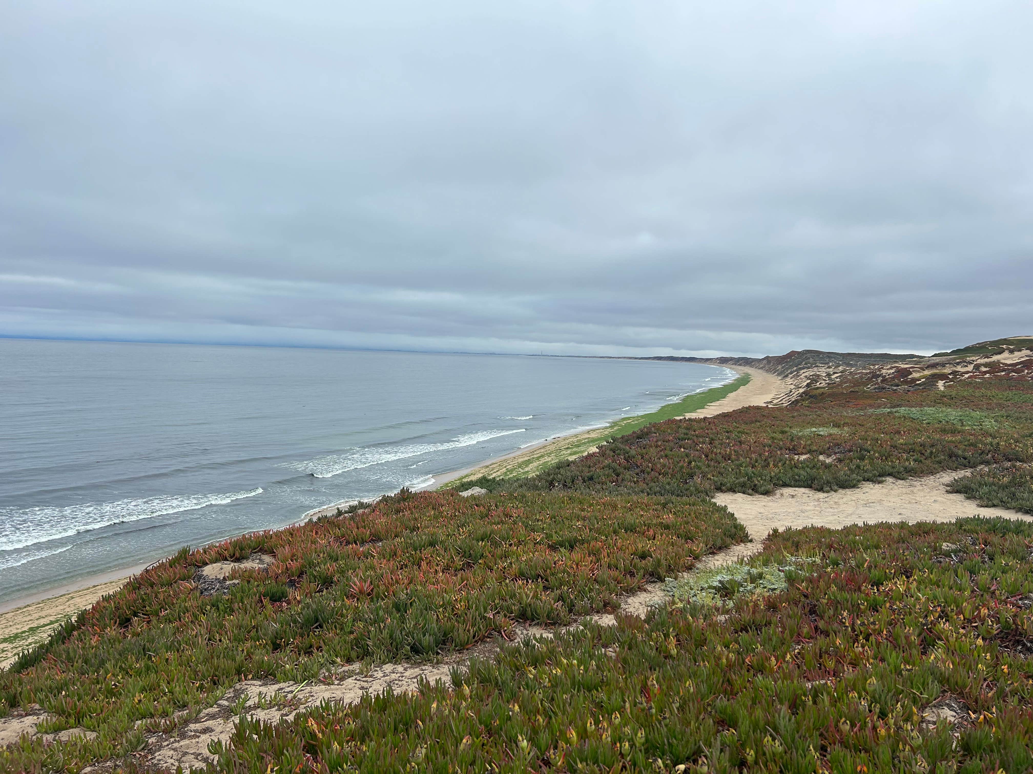 Camper-submitted photo at Marina Dunes RV Park near Moss Landing, CA