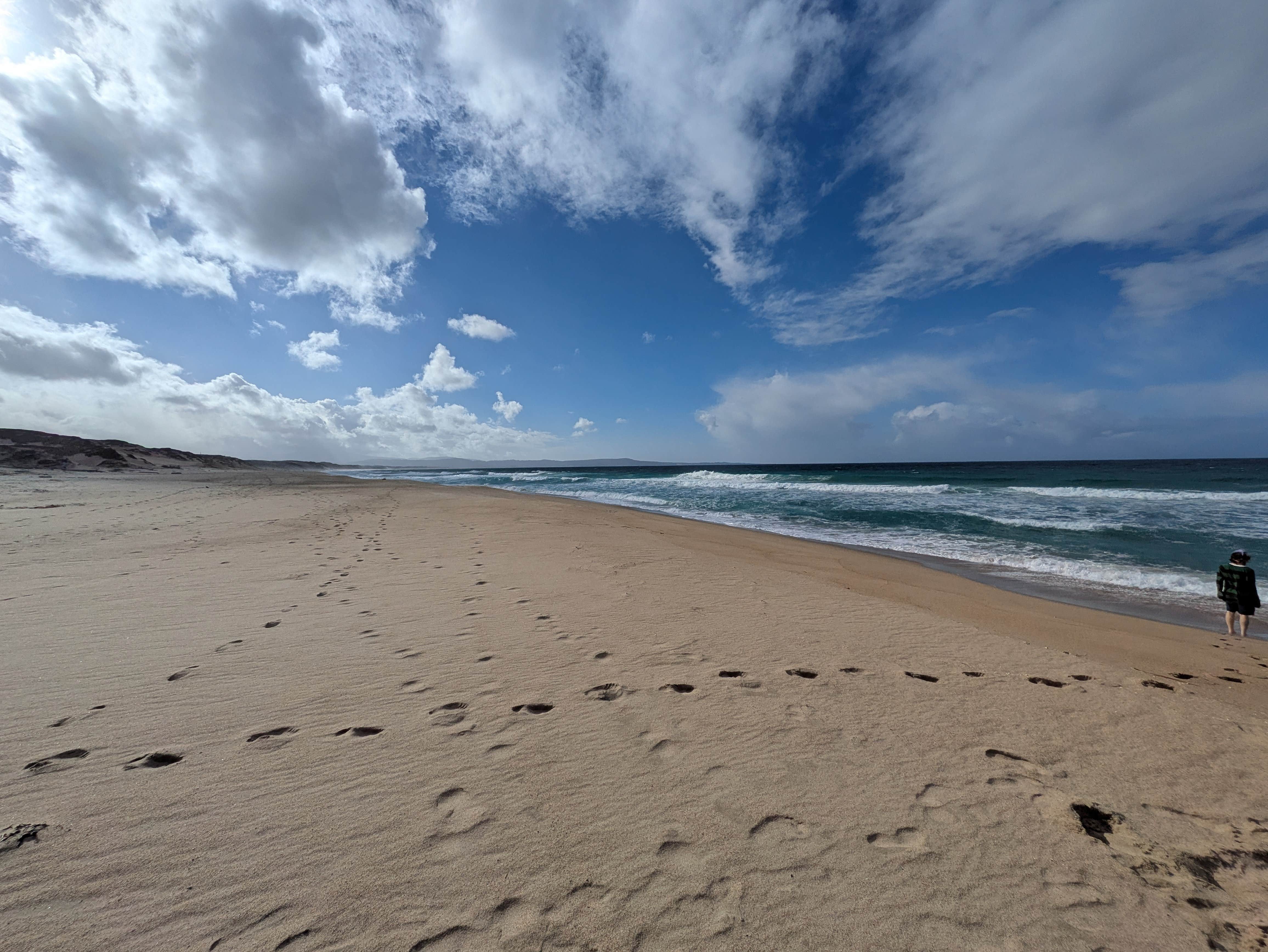 Camper-submitted photo at Marina Dunes RV Park near Monterey, CA