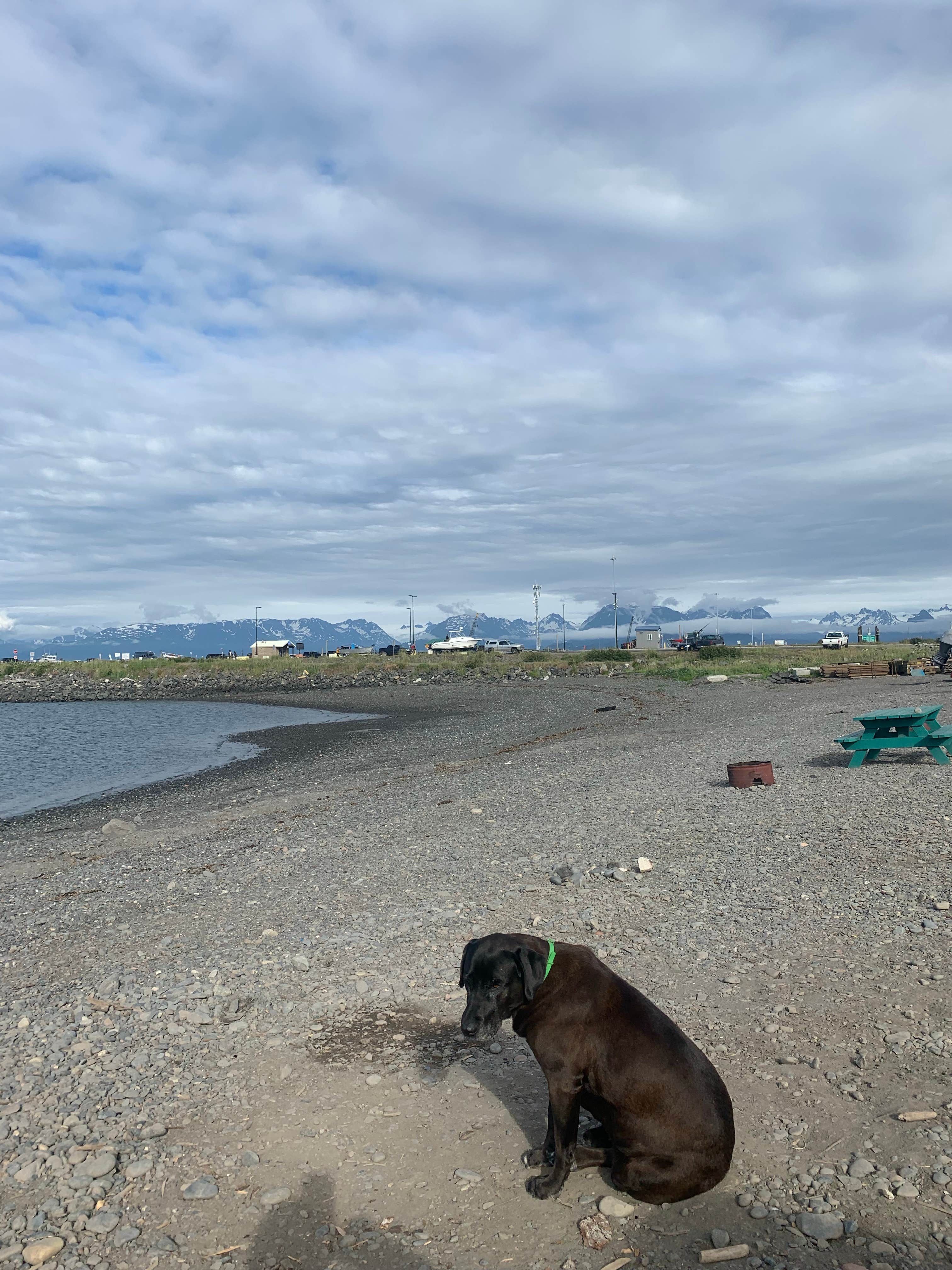 Camper-submitted photo at Mariner Park near Seldovia, AK