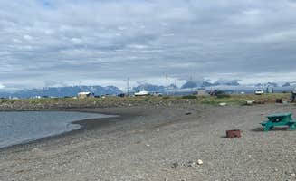 Siegfried M.'s photo of camping with pets at Mariner Park near Ninilchik, AK