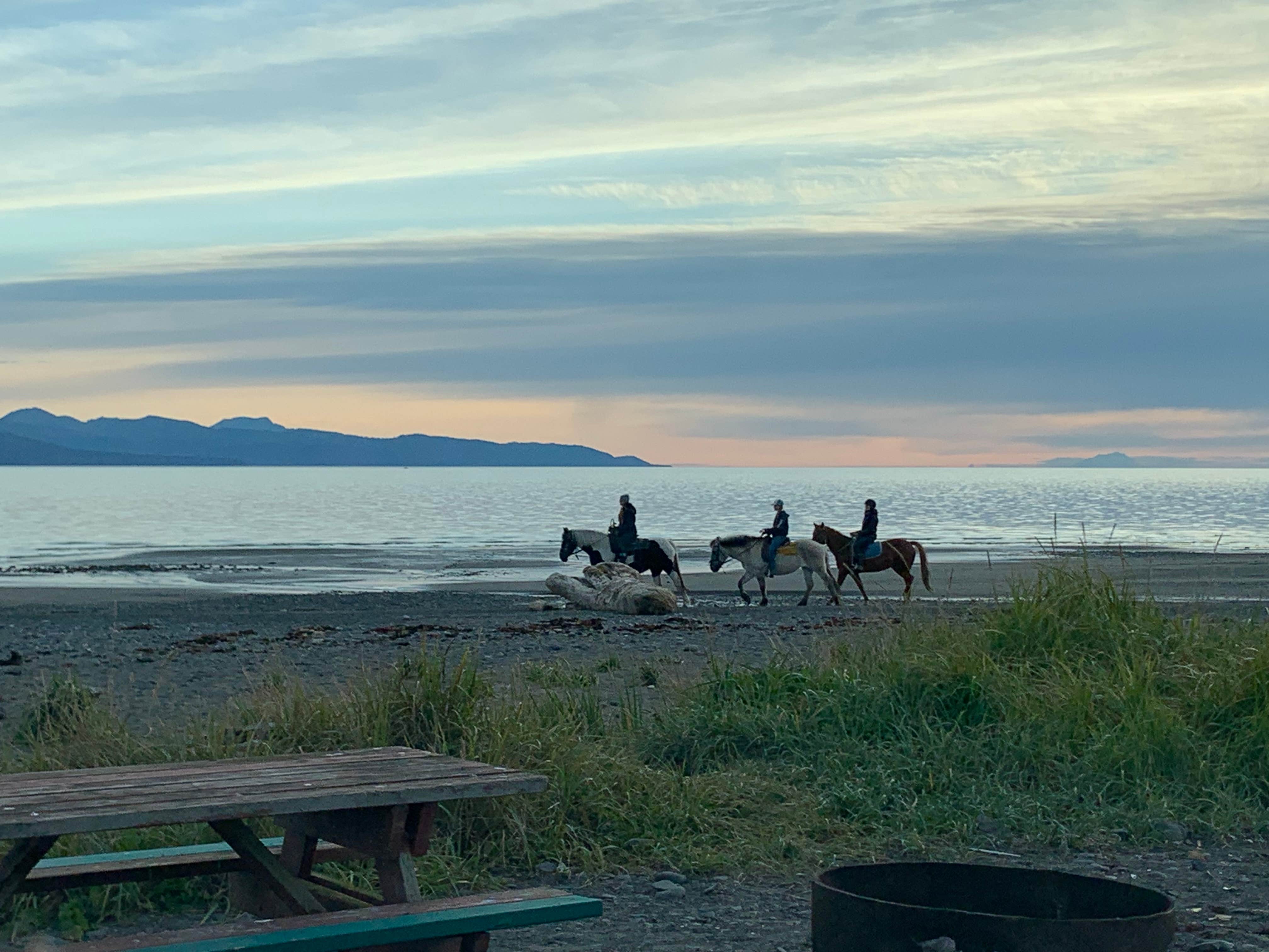 Camper-submitted photo at Mariner Park near Seldovia, AK