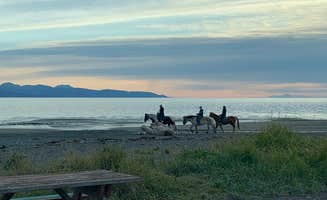 MacKensie C.'s photo of camping with a horse at Mariner Park near Halibut Cove, AK
