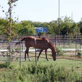 Review photo of Revviel RV Park by Peter , November 13, 2023