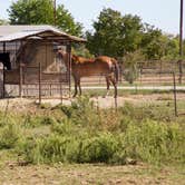 Review photo of Revviel RV Park by Peter , November 13, 2023