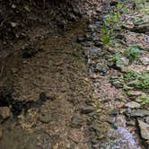 Review photo of Mark Twain Cave & Campground by Greg S., June 17, 2025