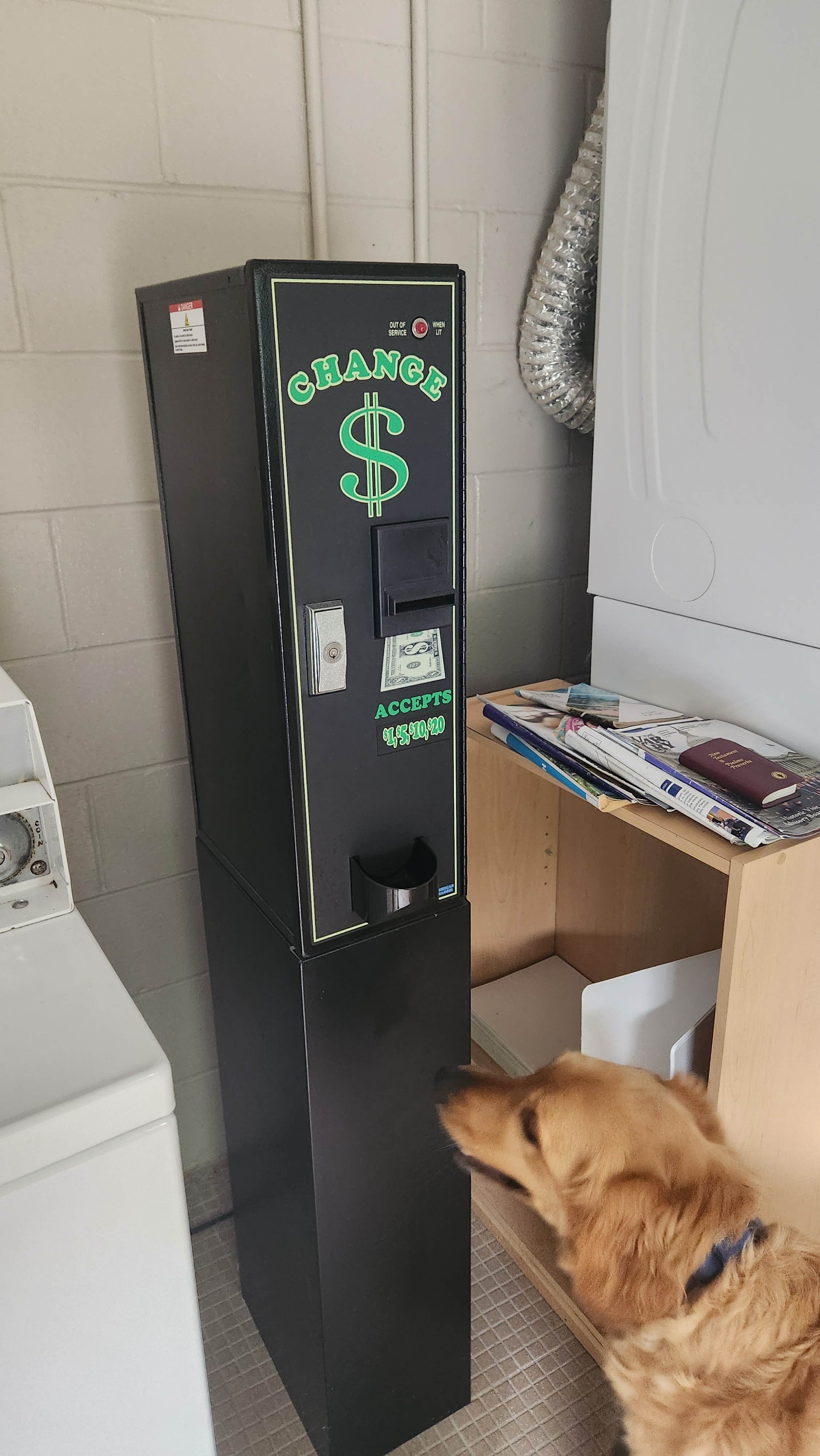 Jennifer B.'s photo of camping with pets at Mark Twain Cave & Campground near Hannibal, MO