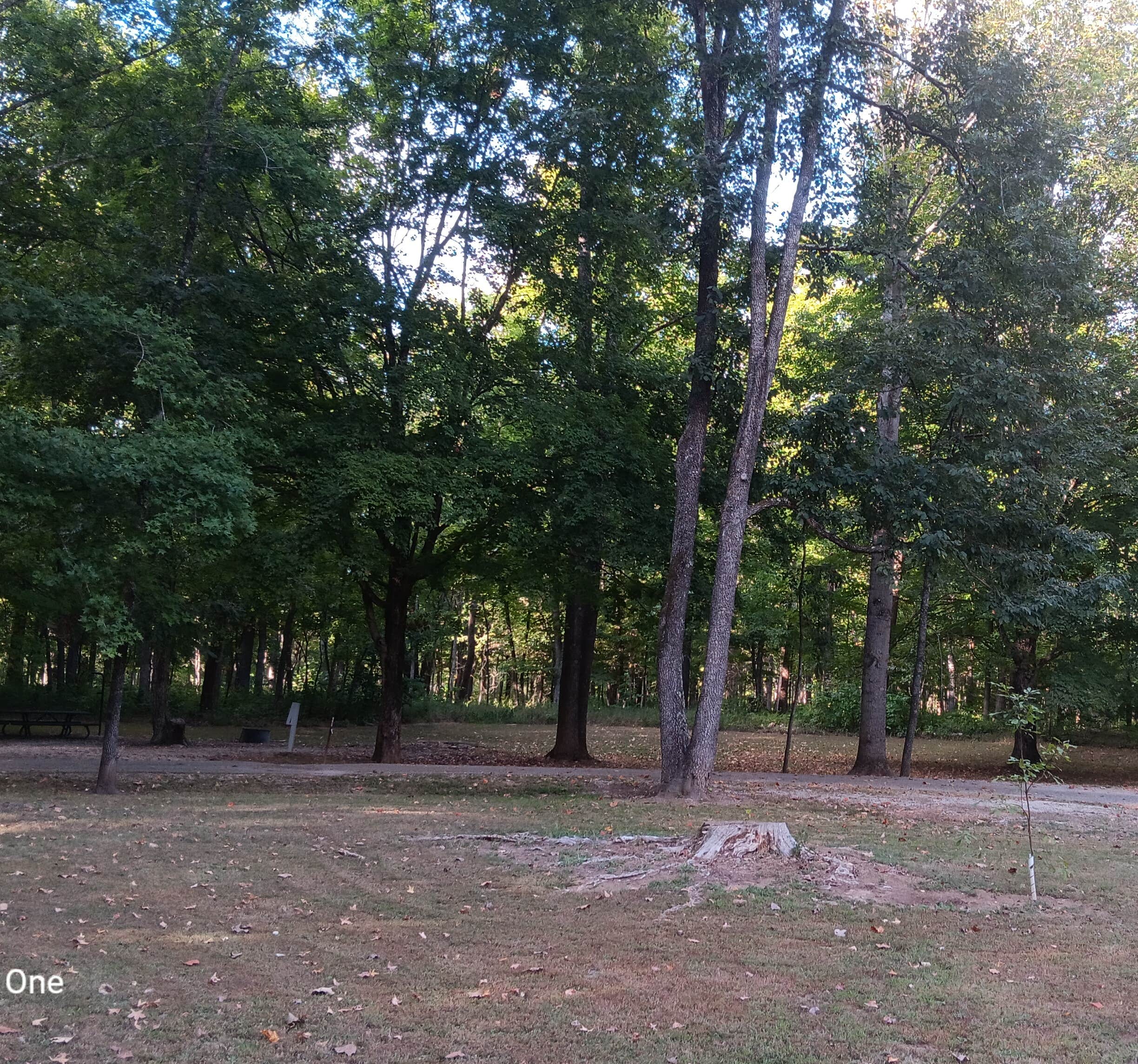 Camper-submitted photo at Mark Twain National Forest Markham Springs Campground near Ellsinore, MO
