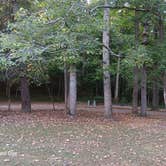 Review photo of Mark Twain National Forest Markham Springs Campground by Overland 1., September 7, 2025