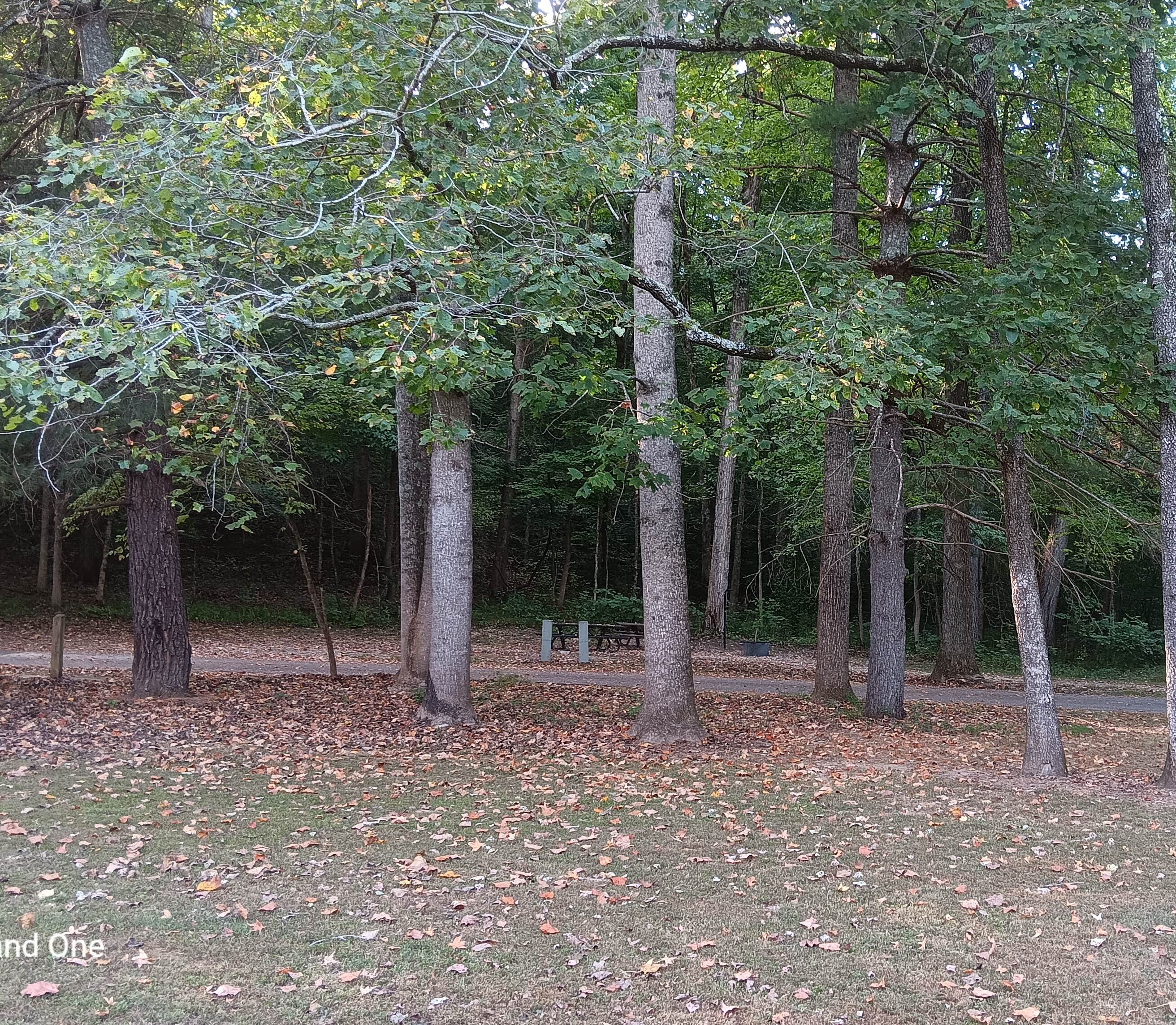 Camper submitted image from Mark Twain National Forest Markham Springs Campground - 1