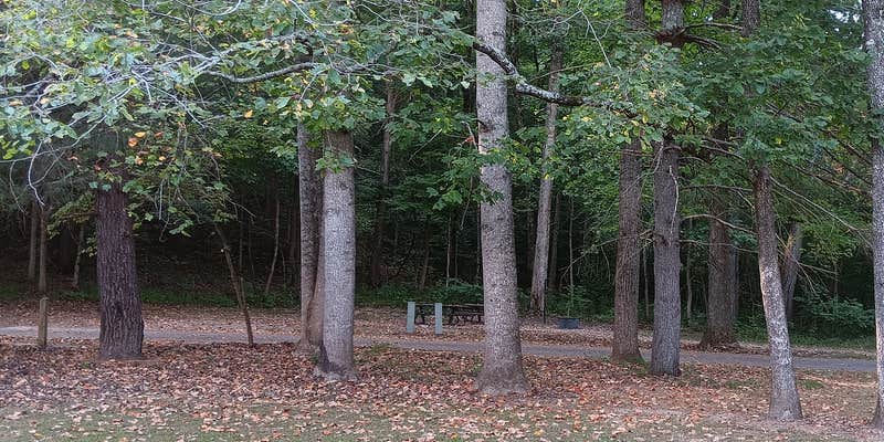 Camper submitted image from Mark Twain National Forest Markham Springs Campground