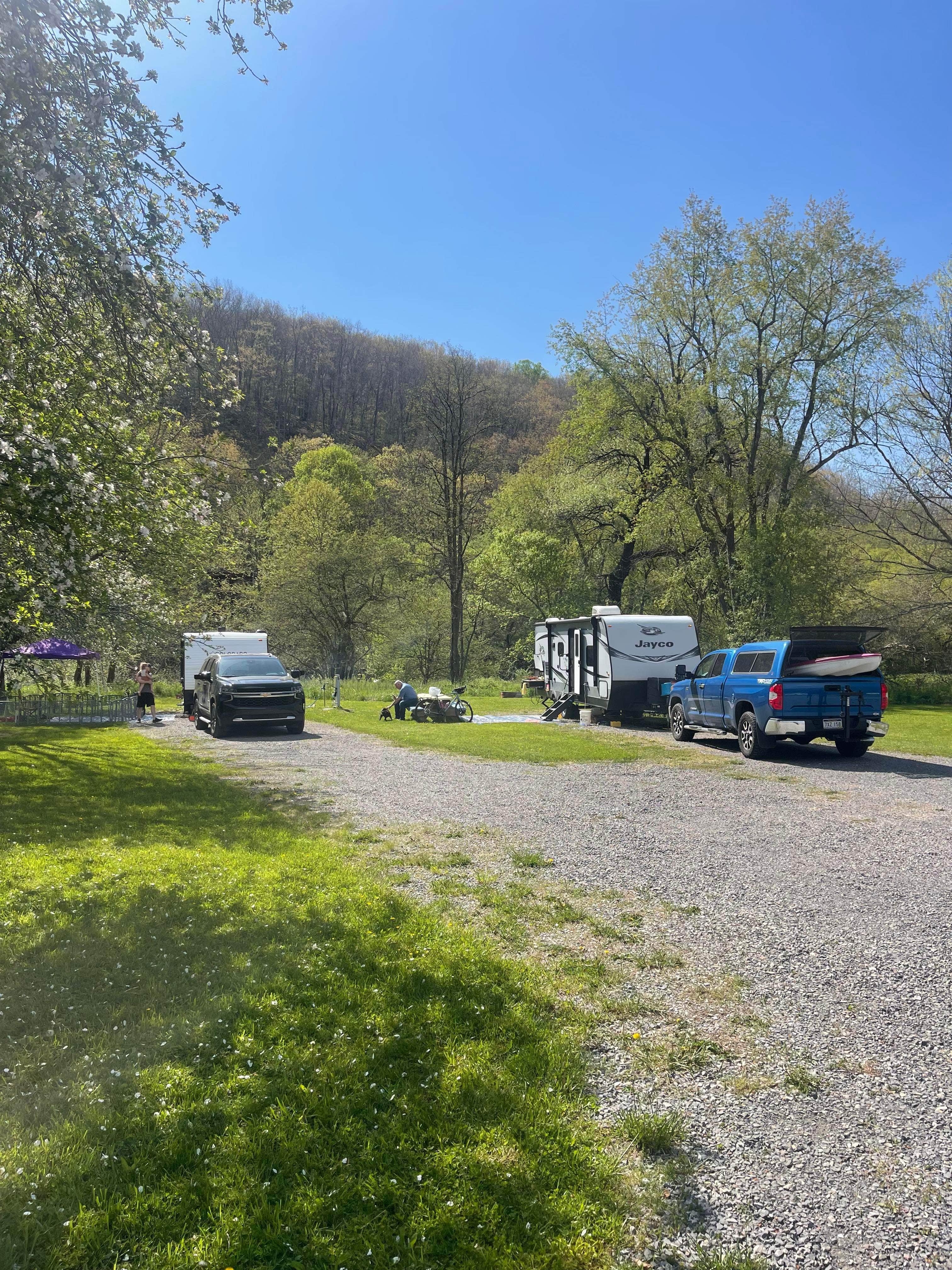 Camper submitted image from Marlinton Creek and Trail - 3