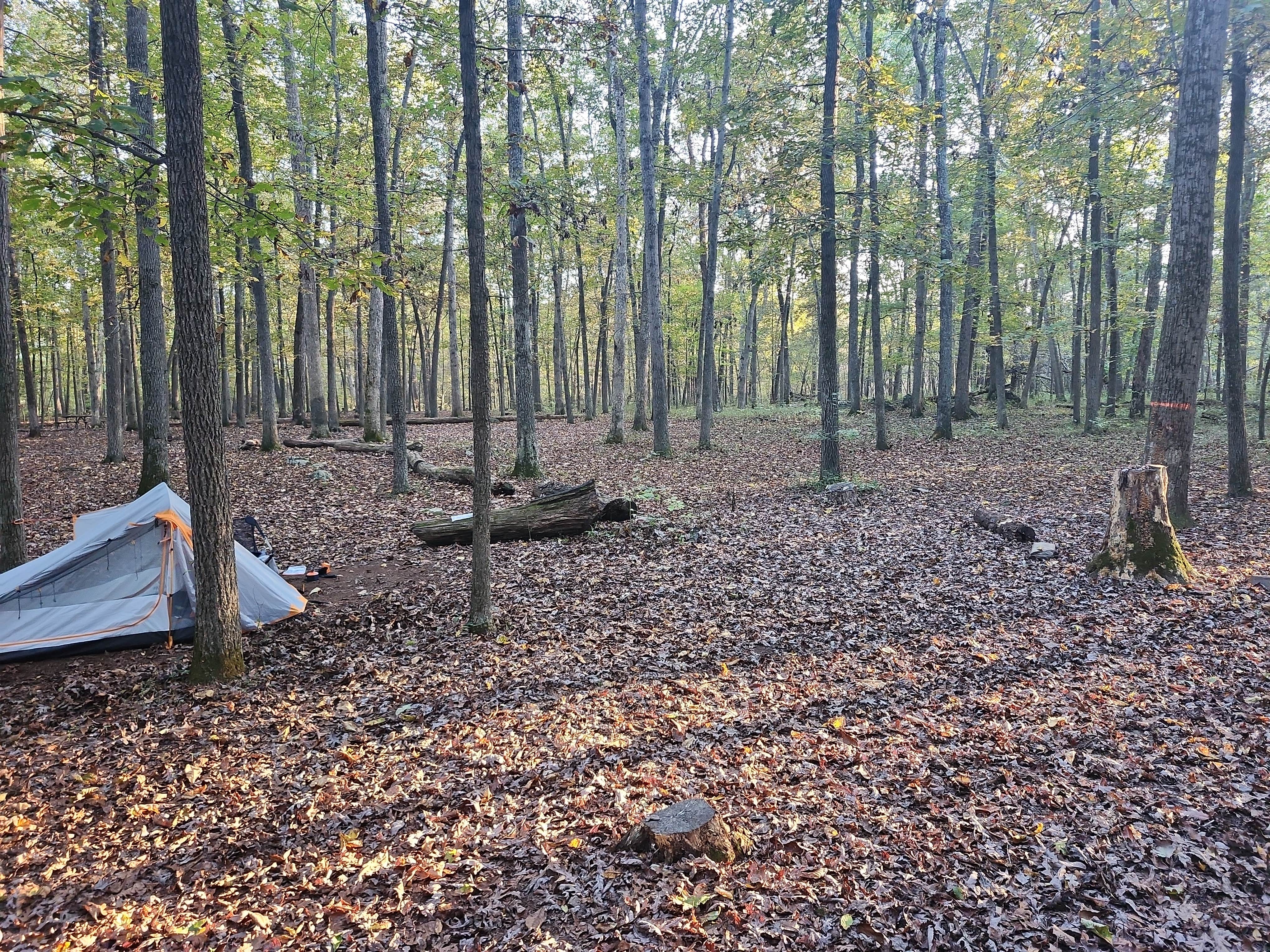 Camper-submitted photo at Marsden Tract Group Campsite — George Washington Memorial Parkway near Great Falls, VA