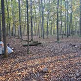 Review photo of Marsden Tract Group Campsite — George Washington Memorial Parkway by Emerson K., April 13, 2025