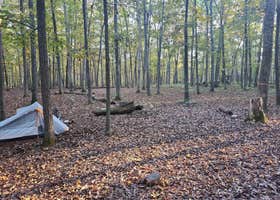 Marsden Tract Group Campsite — George Washington Memorial Parkway