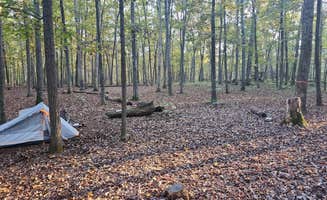 Emerson K.'s photo at Marsden Tract Group Campsite — George Washington Memorial Parkway near Chantilly, VA