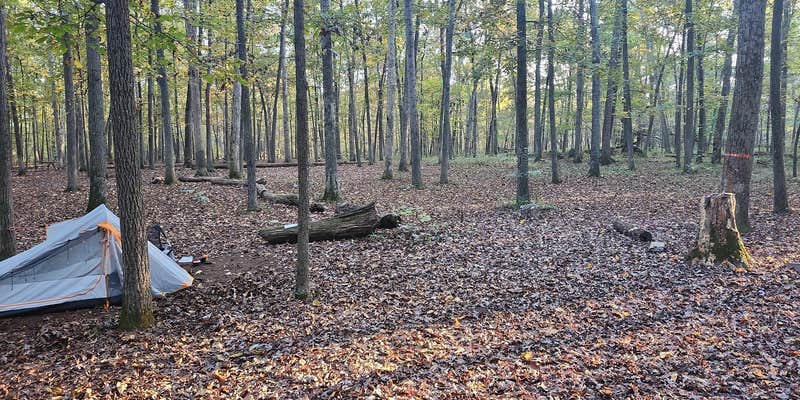 Camper submitted image from Marsden Tract Group Campsite — George Washington Memorial Parkway