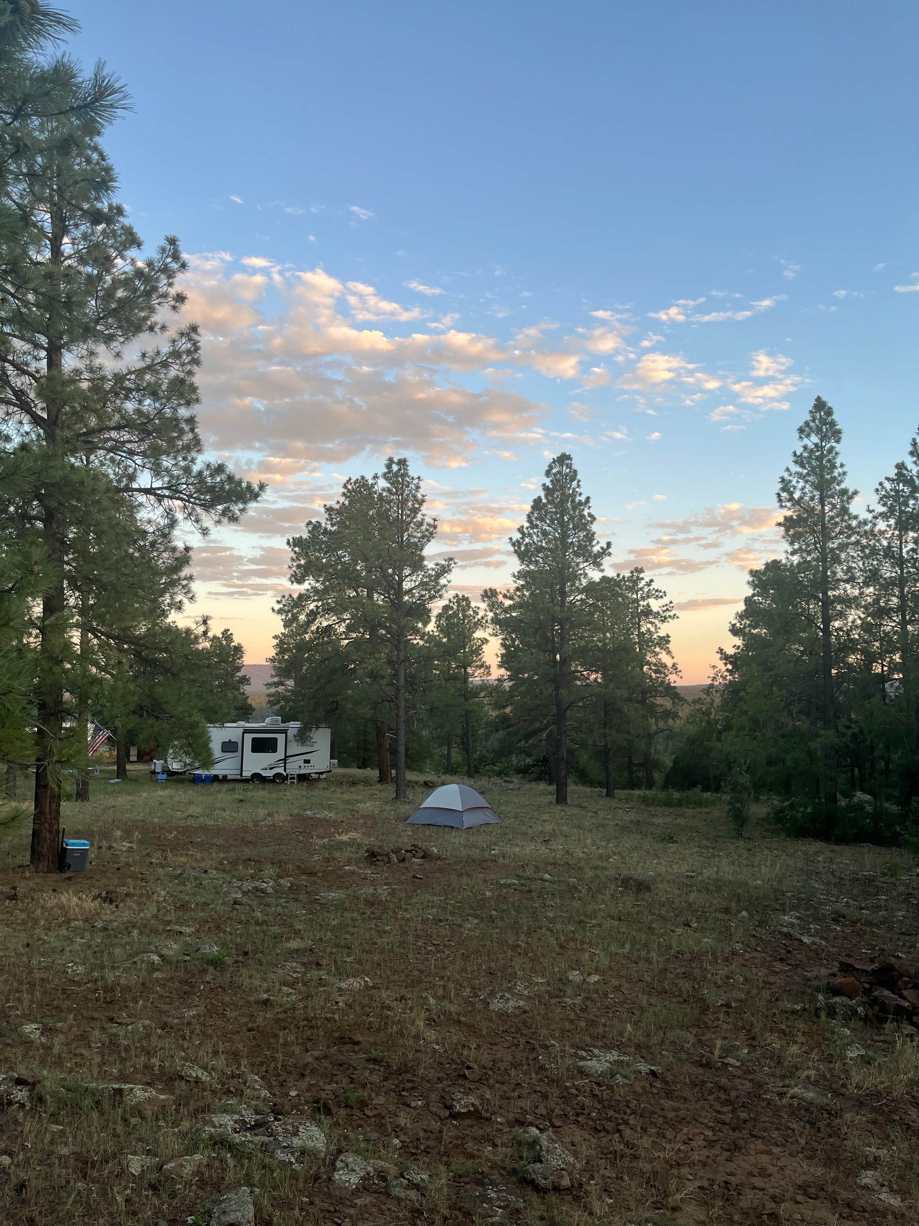 Camper-submitted photo at Marshall Lake near Mormon Lake, AZ