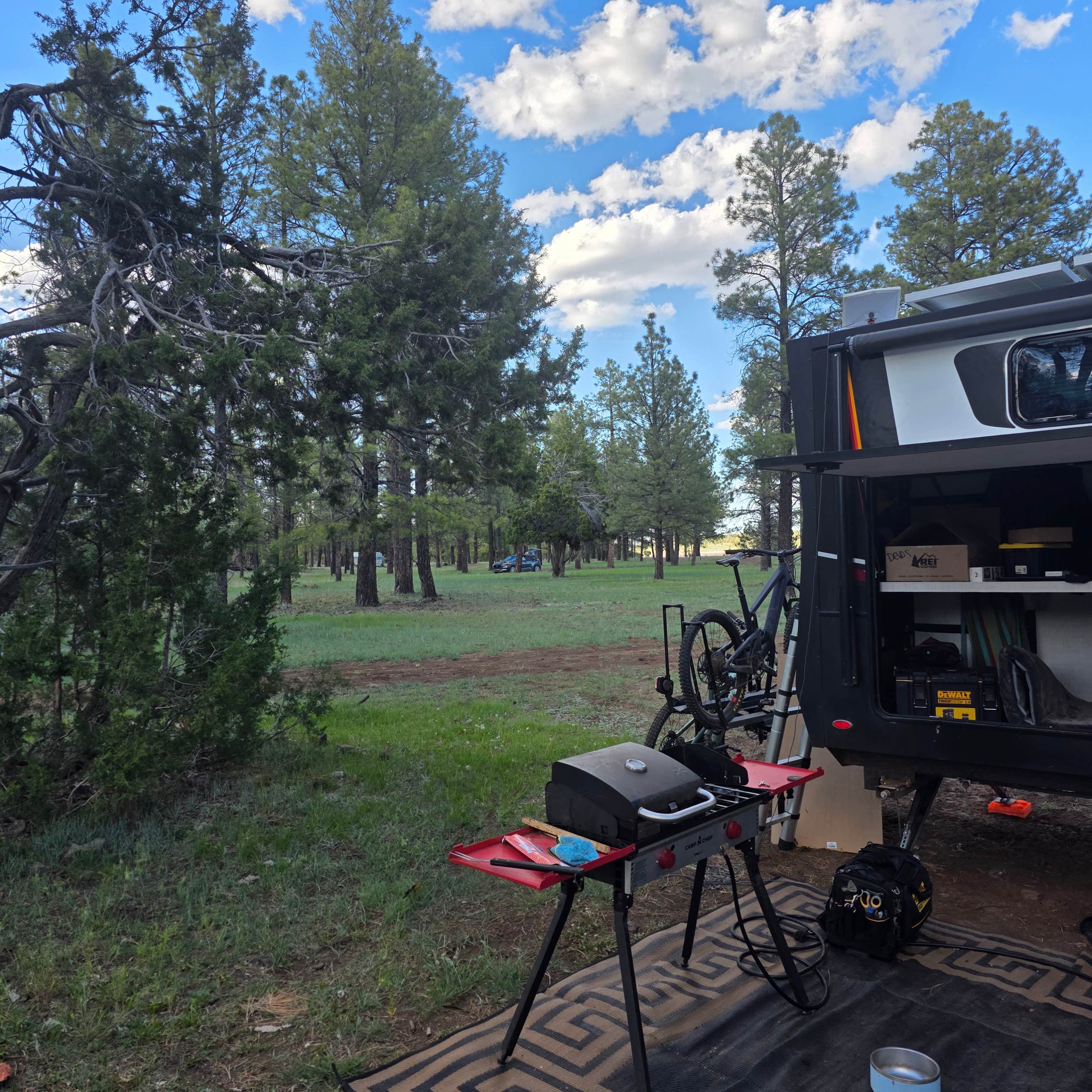 dMitri D.'s photo at Marshall Lake near Flagstaff, AZ