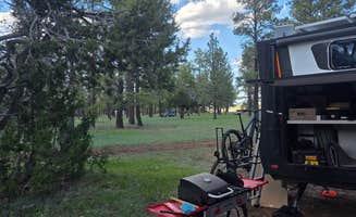 dMitri D.'s photo at Marshall Lake near Flagstaff, AZ