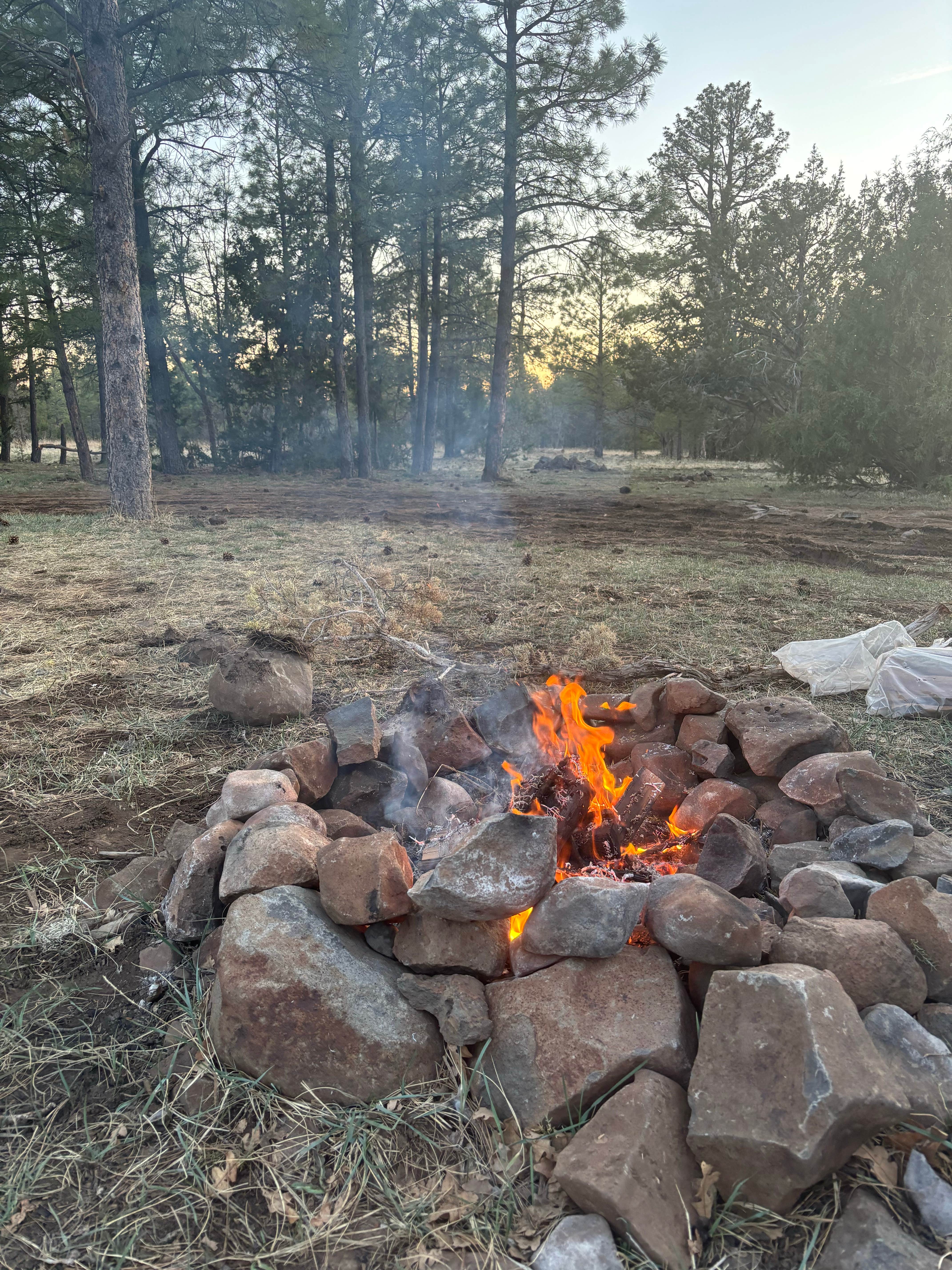 Camper-submitted photo at Marshall Lake near Mormon Lake, AZ