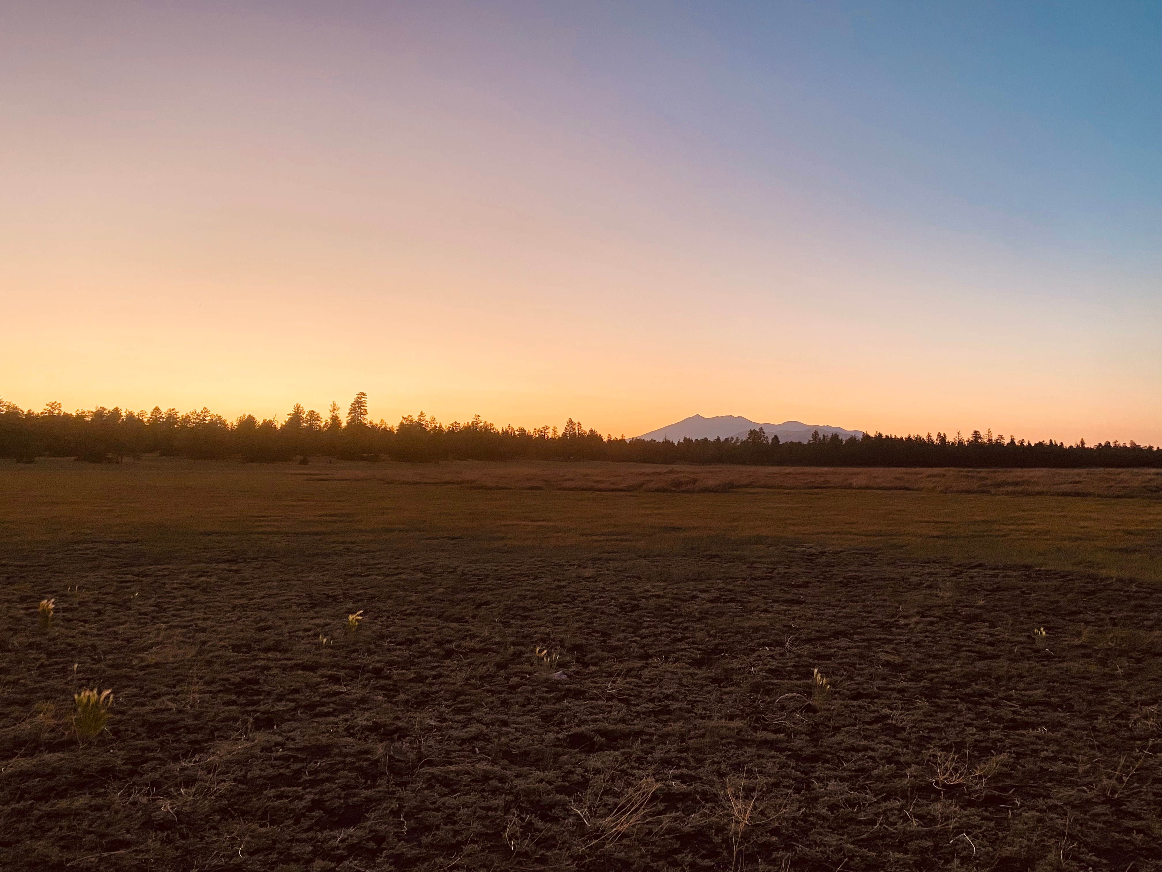 Benjamin G.'s photo of a dispersed camping area at Marshall Lake near Flagstaff, AZ