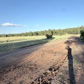 Review photo of Marshall Lake by Larry H., July 6, 2025