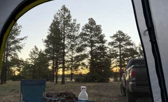 Kaila R.'s photo at Marshall Lake in Arizona