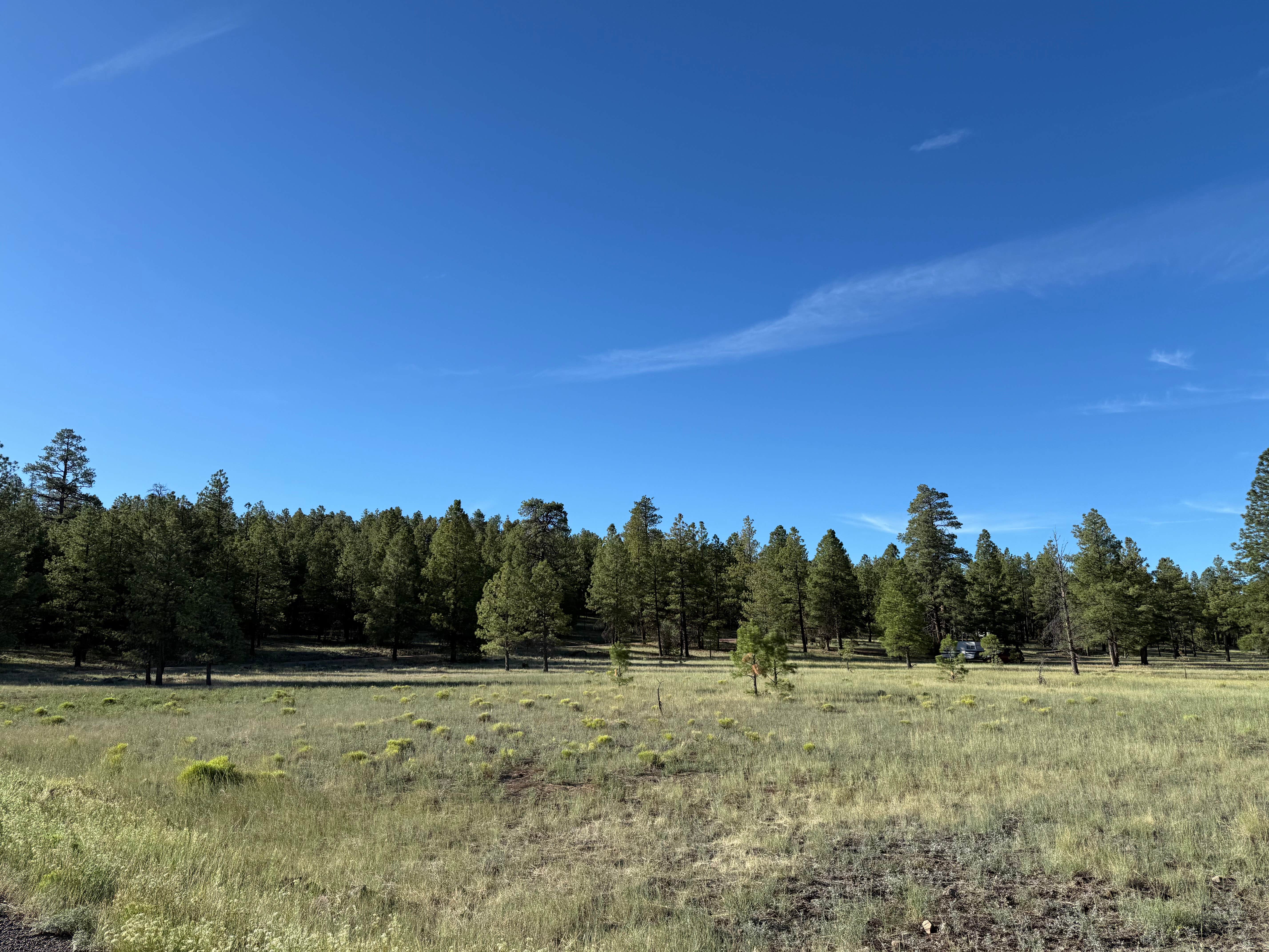 Camper-submitted photo at Marshall Lake near Mormon Lake, AZ